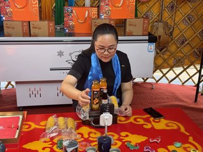 電商助農新風尚 “好物興盟電商月”點亮草原特產蒙古包