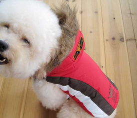 美琪妃寵Feipet 2012秋冬寵物服裝新品解析 價格、廠家與大白寵物風尚